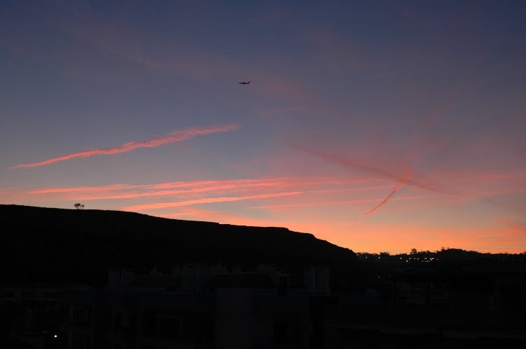 [DSC_0005.JPG]