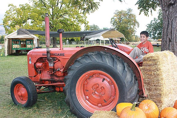 [Pumpking+Patch+027.jpg]