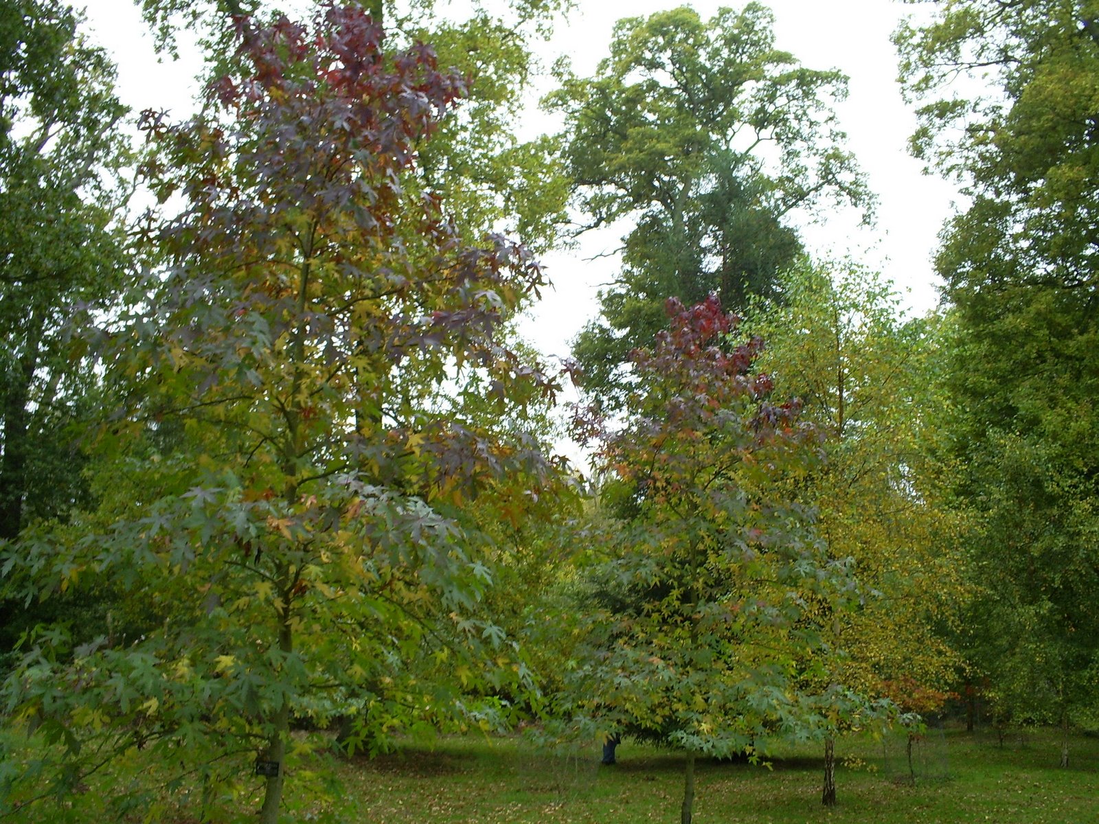 [Arboretum+12.JPG]