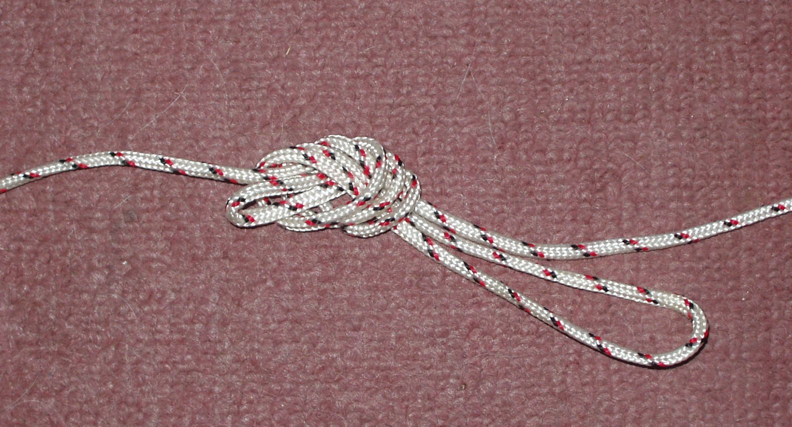 [P1010002.JPG]