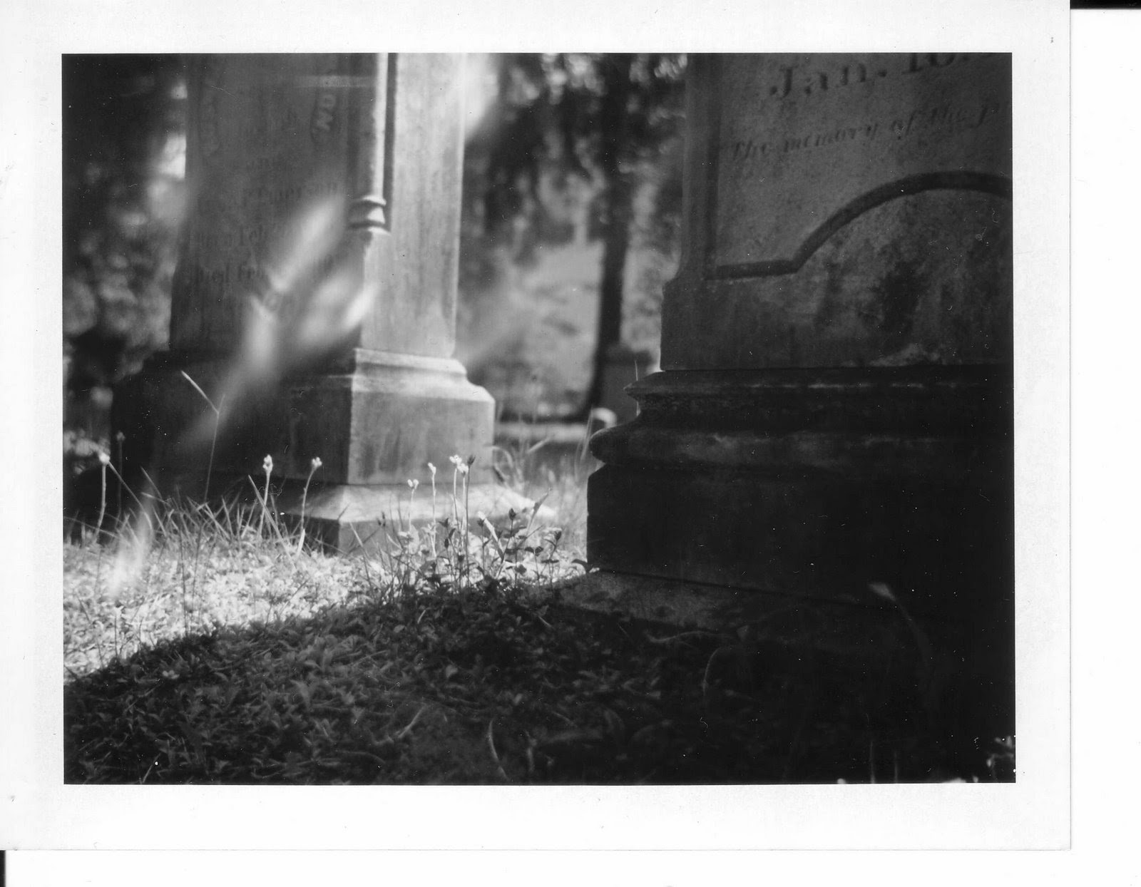 [DGraveyardPolaroidB1.JPG]