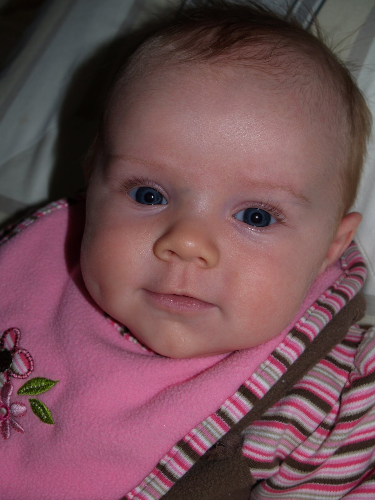 [P2212111.JPG]