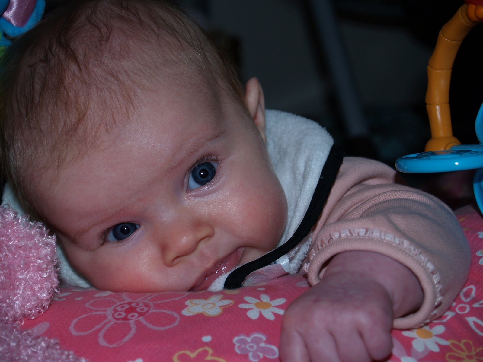 [P3072277.JPG]