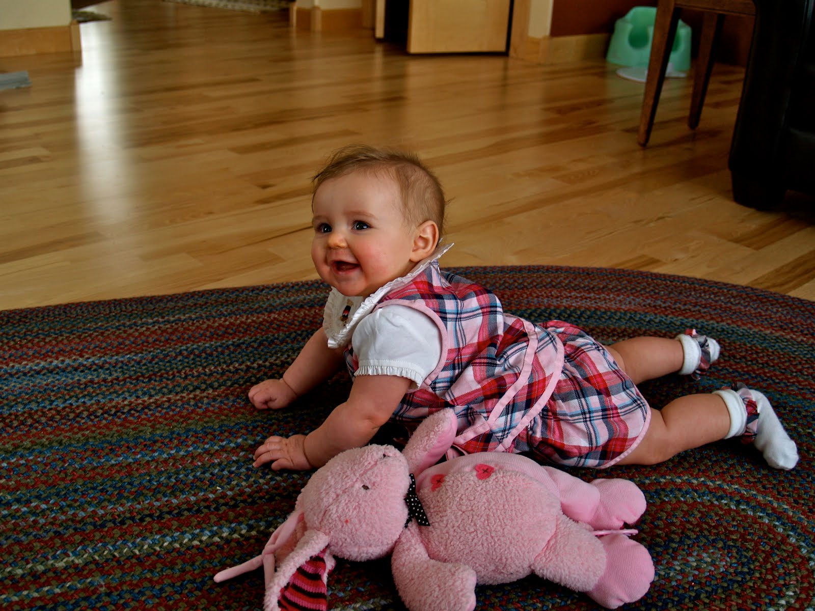 [P1312698.JPG]