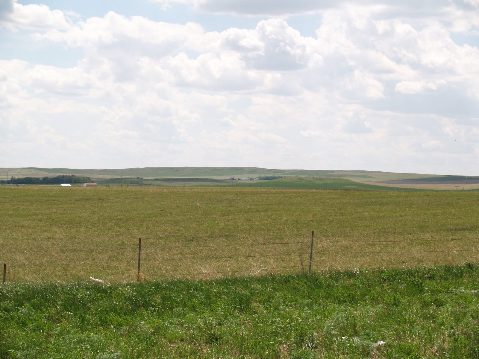 [P5313317.JPG]