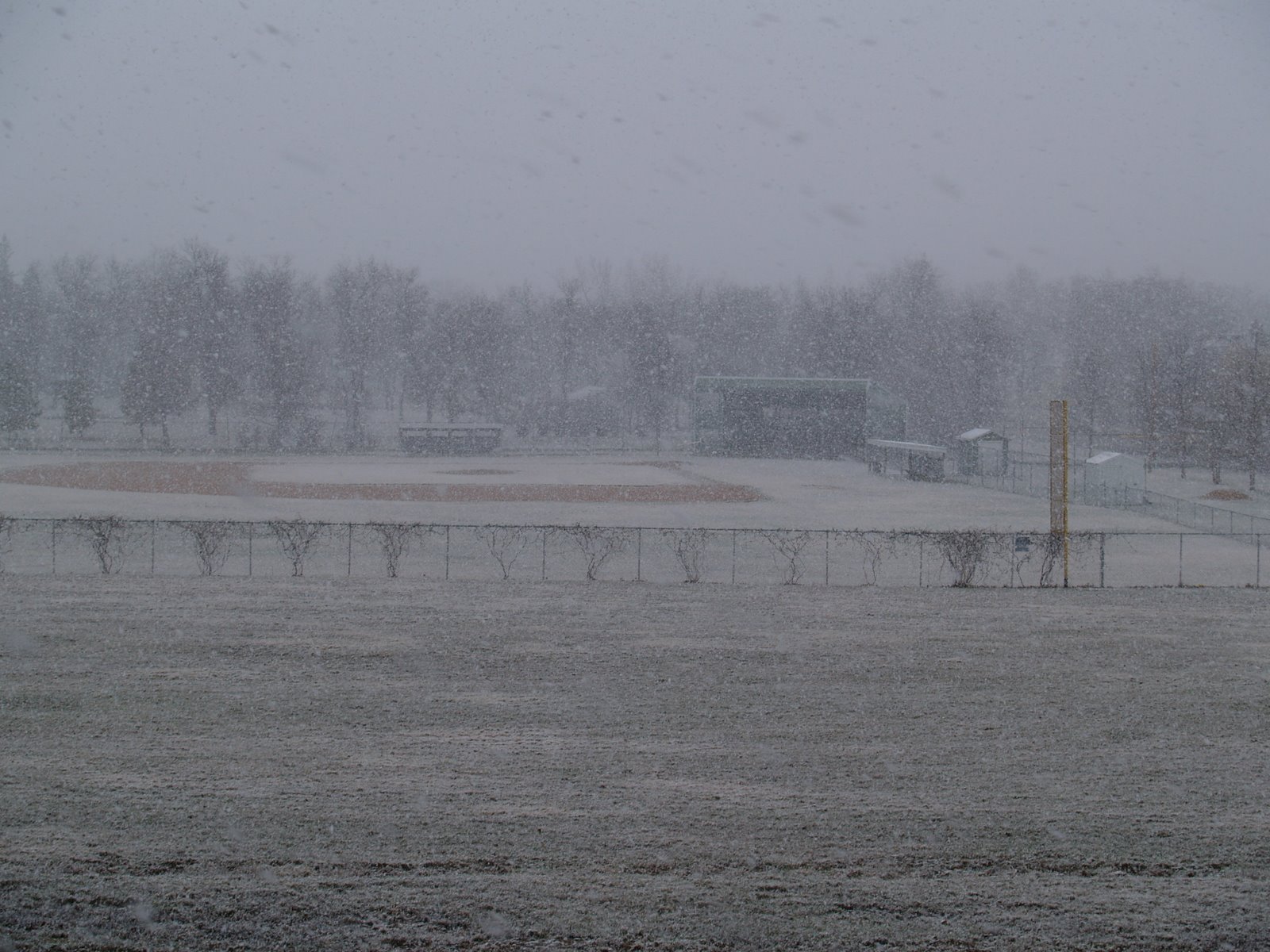[snow_042409.jpg]