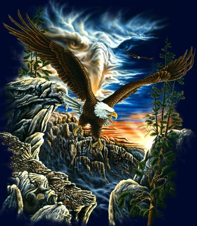 [gardner_10eagles.jpg]