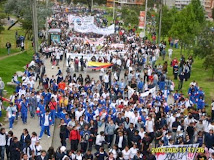 ESCOLARES Y UNIVERSITARIOS