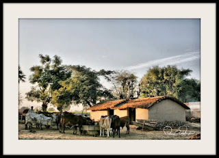 Village+pictures+of+pakistan