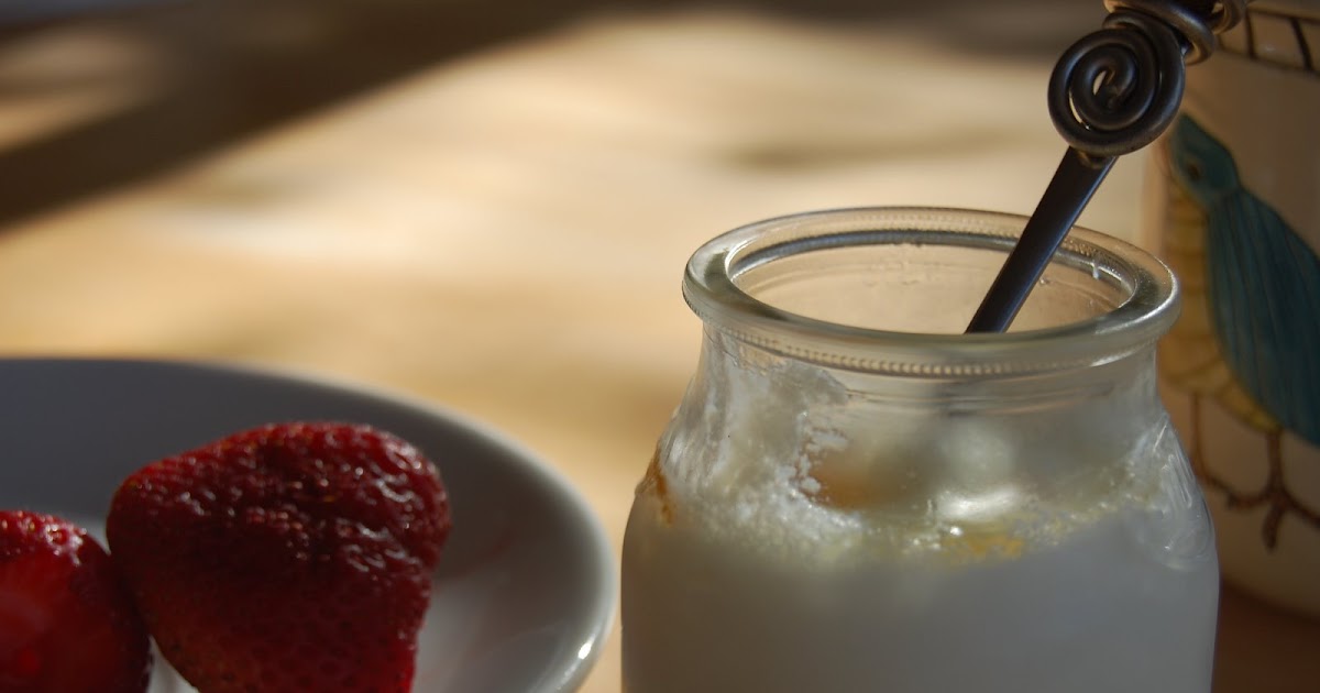 Salt and Chocolate homemade yogurt using the heating pad method