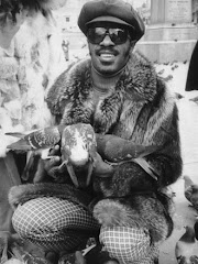 Singer/songwriter Stevie Wonder