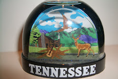 Snow Globe 22