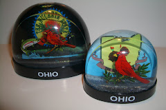snow globe 58