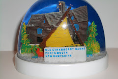 snow globe 60