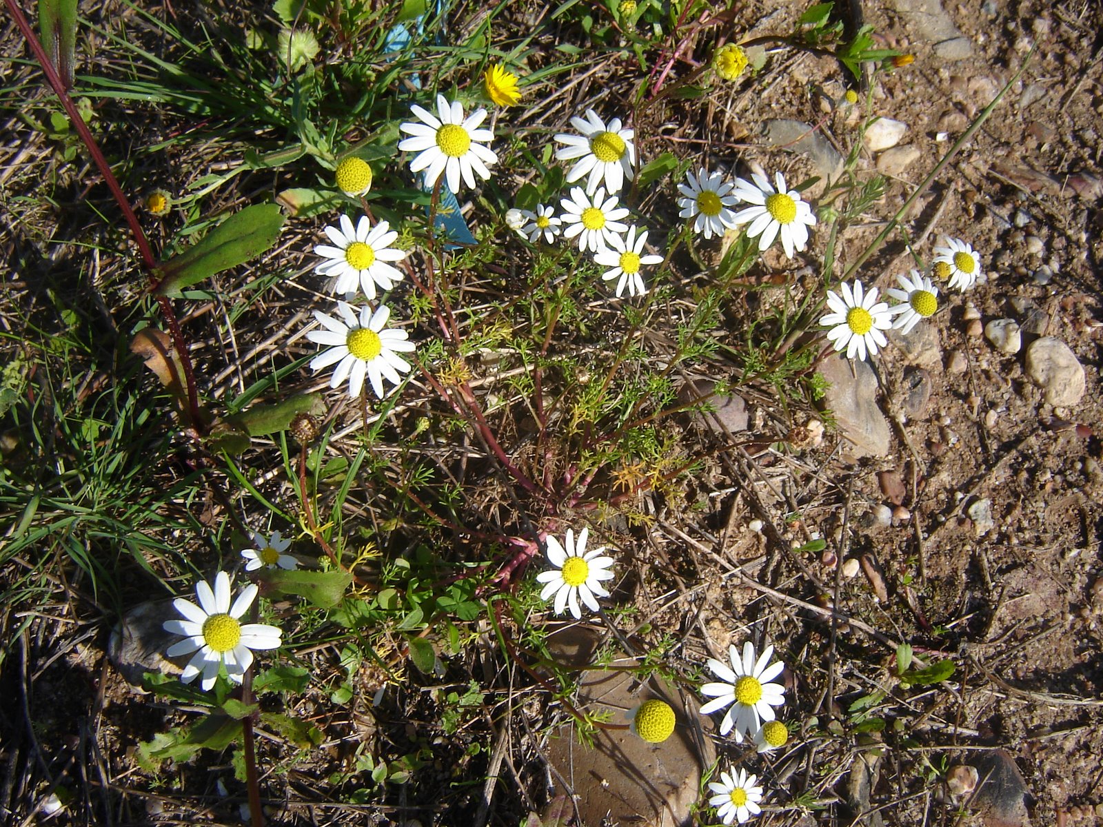 [DSC04643.JPG]