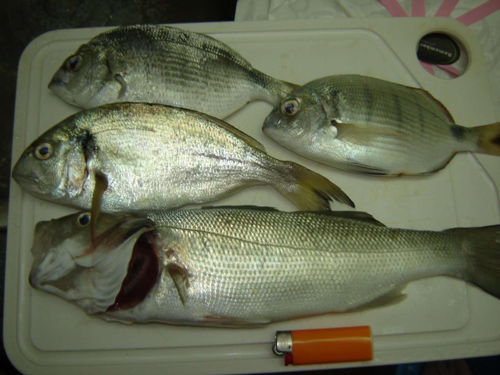 [DSC04803.JPG]