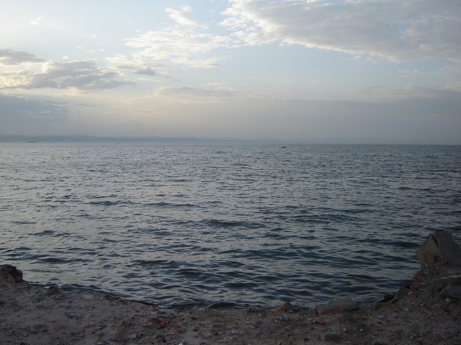 [DSC05406.JPG]