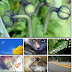 Airena Wallpapers Pack 9