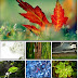 Nature and Landscape Wallpapers Pack 3