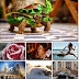 Beautiful Photos Pack