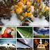 High Dynamic Range (HDR) Wallpapers Pack 3