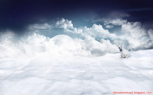 white clouds and polar bear