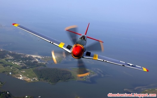 aircraft in the air