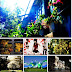 Full HD Mixed Wallpapers Pack 67 by Smpx