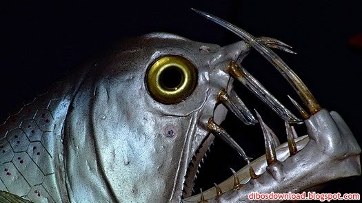 sharp toothed fish