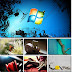 Beautiful HD Wallpapers 15