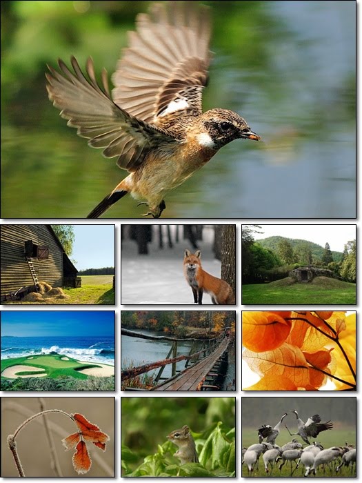 World In Photo Pack 3 World In Photo Pack 3