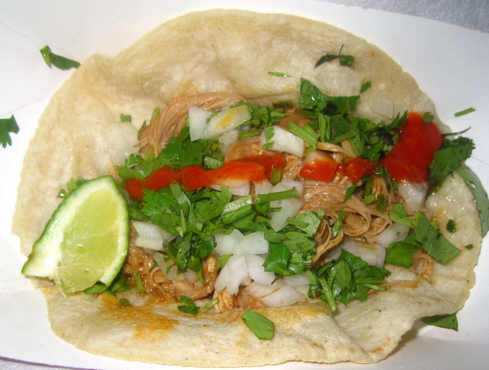 fresh taco