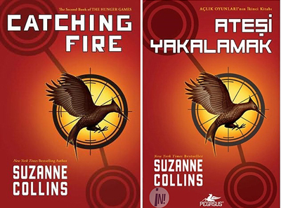 Catching Fire Essay