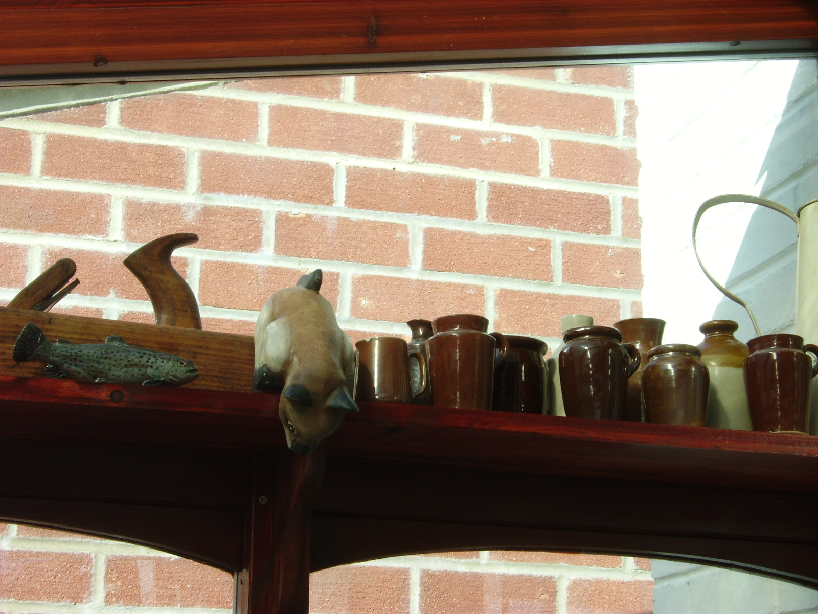 [new+shelf.JPG]