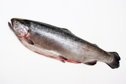 [iStock_salmon_Small.jpg]