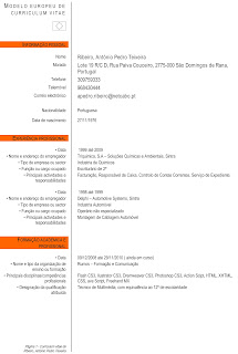 Resume summary examples picture