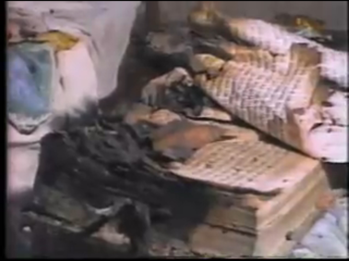 Delhi 1984