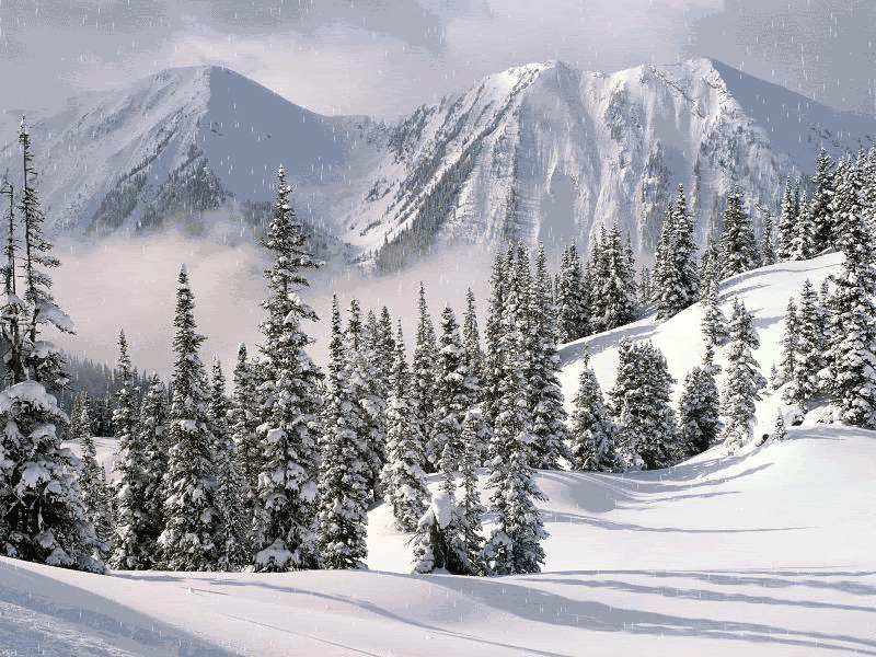 Snow Time