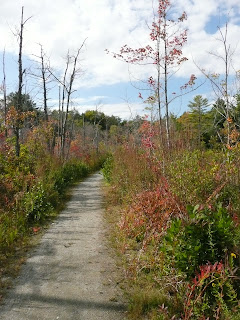 Gordon College and Chebacco woods in the fall. The leaves are just beginning to change.