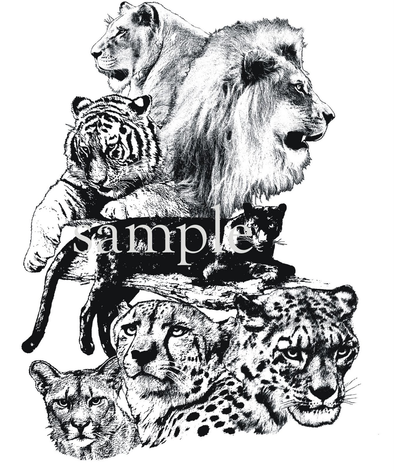 Big Cat Collage