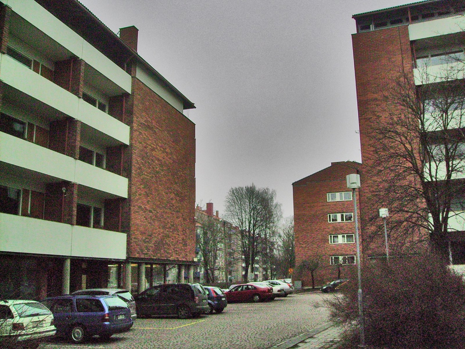 [IMGP0927_2000x1500.JPG]