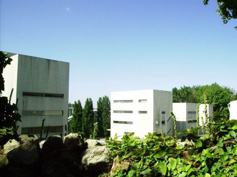 [IMGP4017_800x600.JPG]