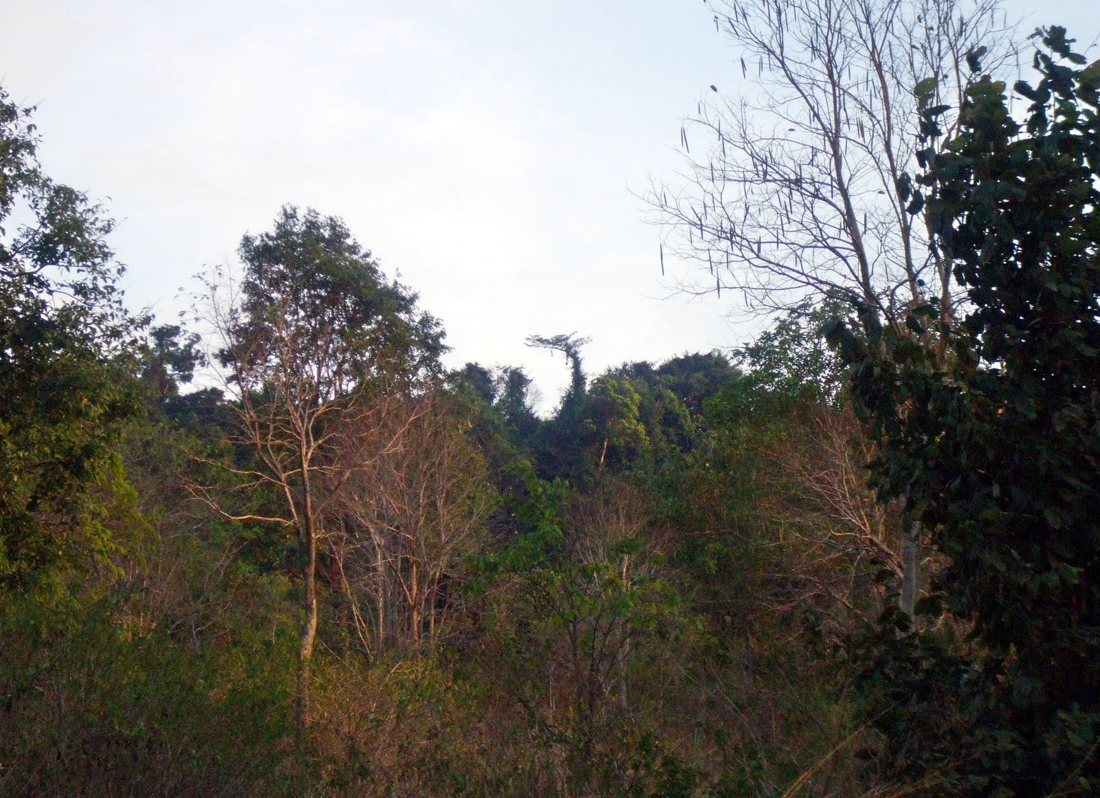 [DSCF5574.JPG]