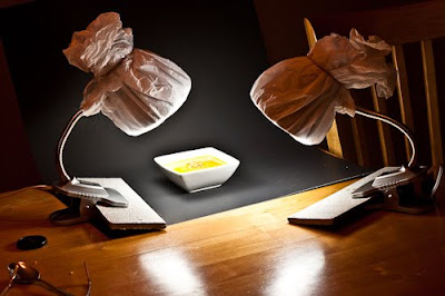 daylight balanced bulbs