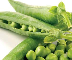 manfaat-vitamin-E