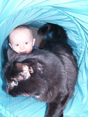 Playing with the Kitty in the Tunnel