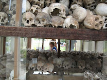 Over 8,000 Human Skulls