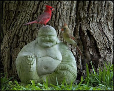 Buddha and Birds