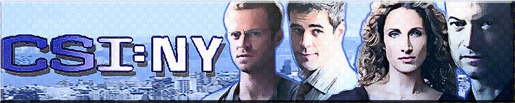 [banner_NY+NEW.JPG]