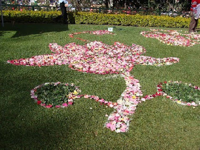 Ooty Flower Show 2010 images